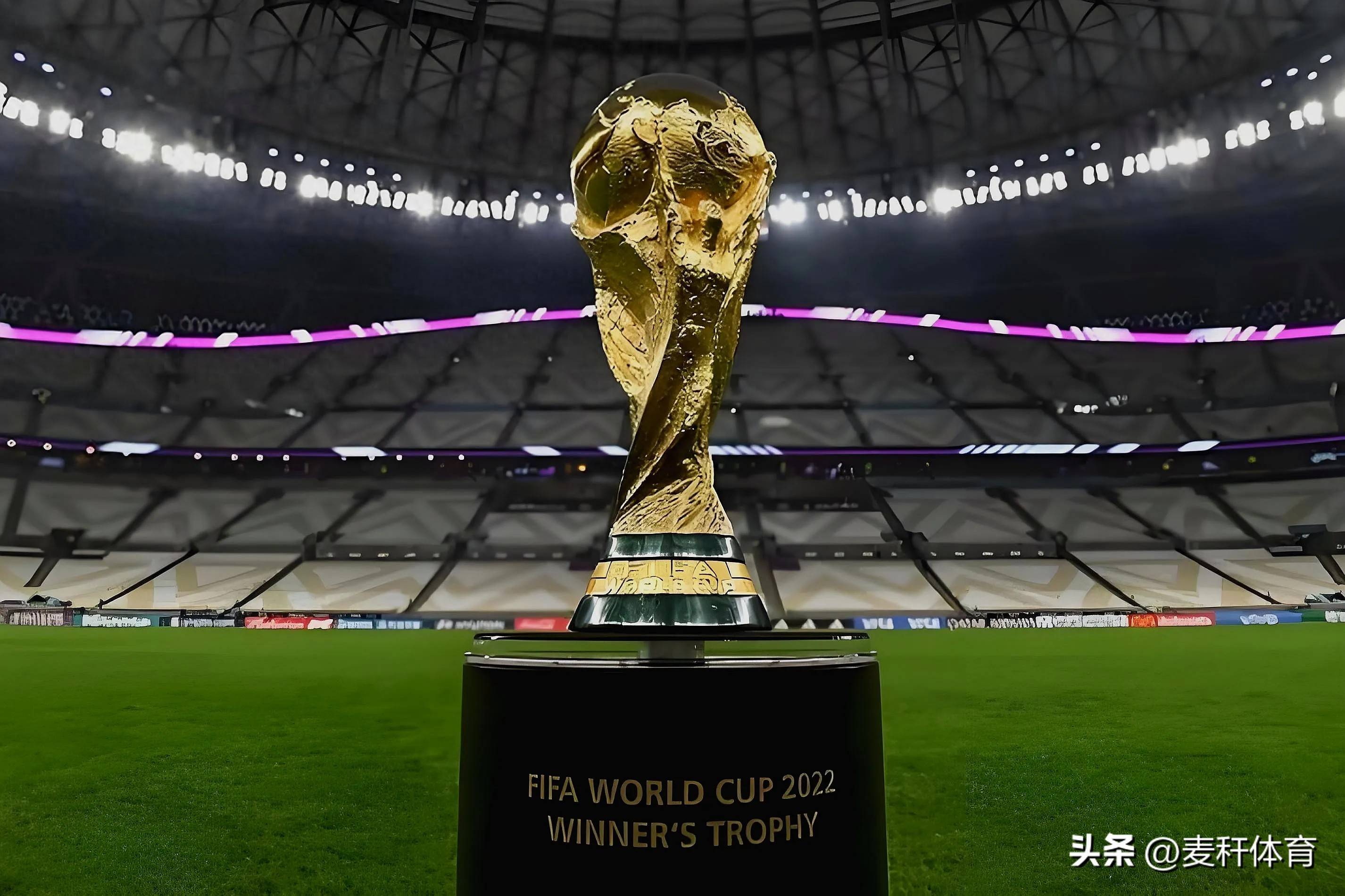 引发双方的 引发双方的