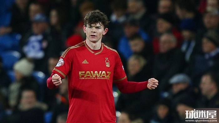 补强作用 补强作用